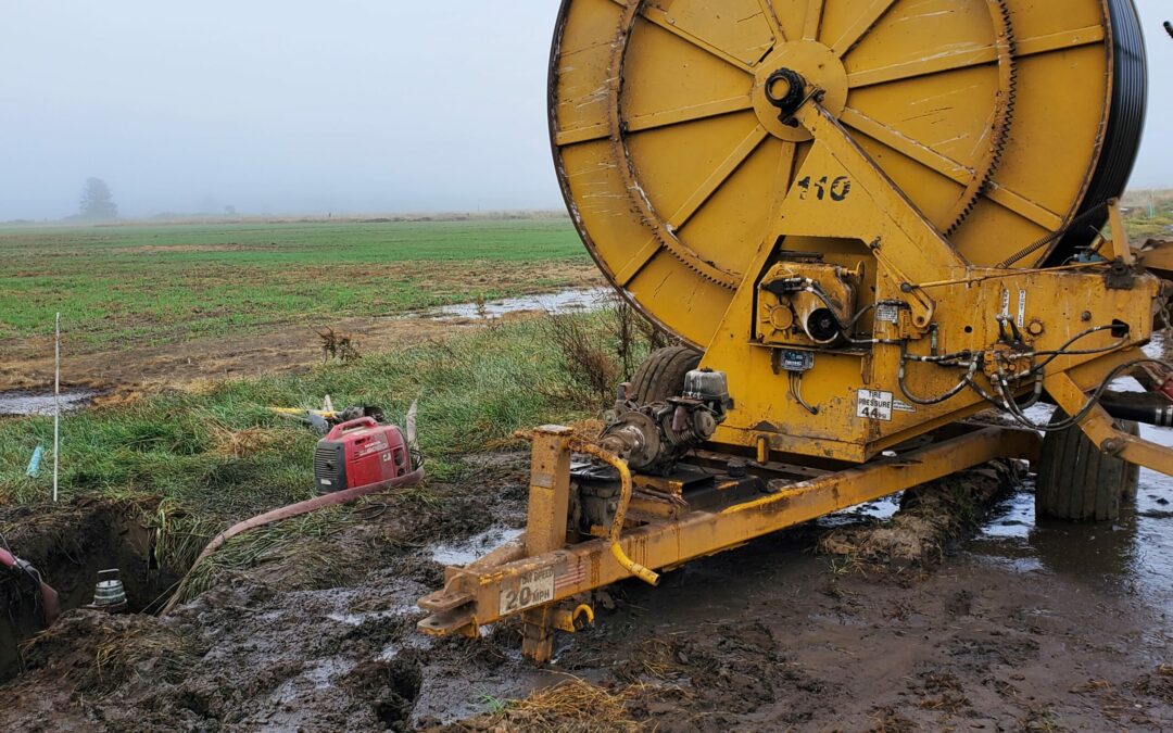 Customer Spotlight: For Gienger Farms in Oregon, FarmHQ Helps “Save the Headaches” of Pumping Manure and Irrigating for Silage on Their Dairy Operation