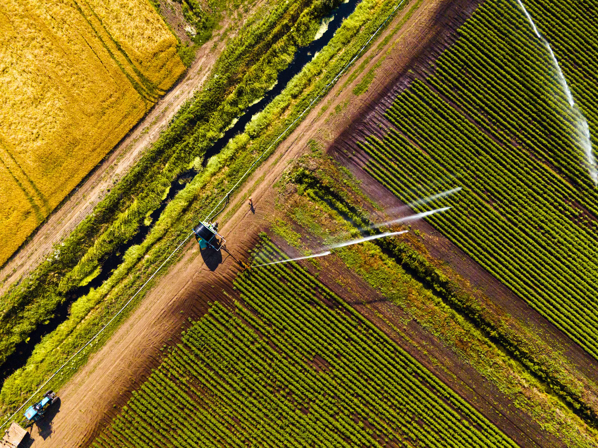 Aerial view of agricultural sprinklers watering field for better growth