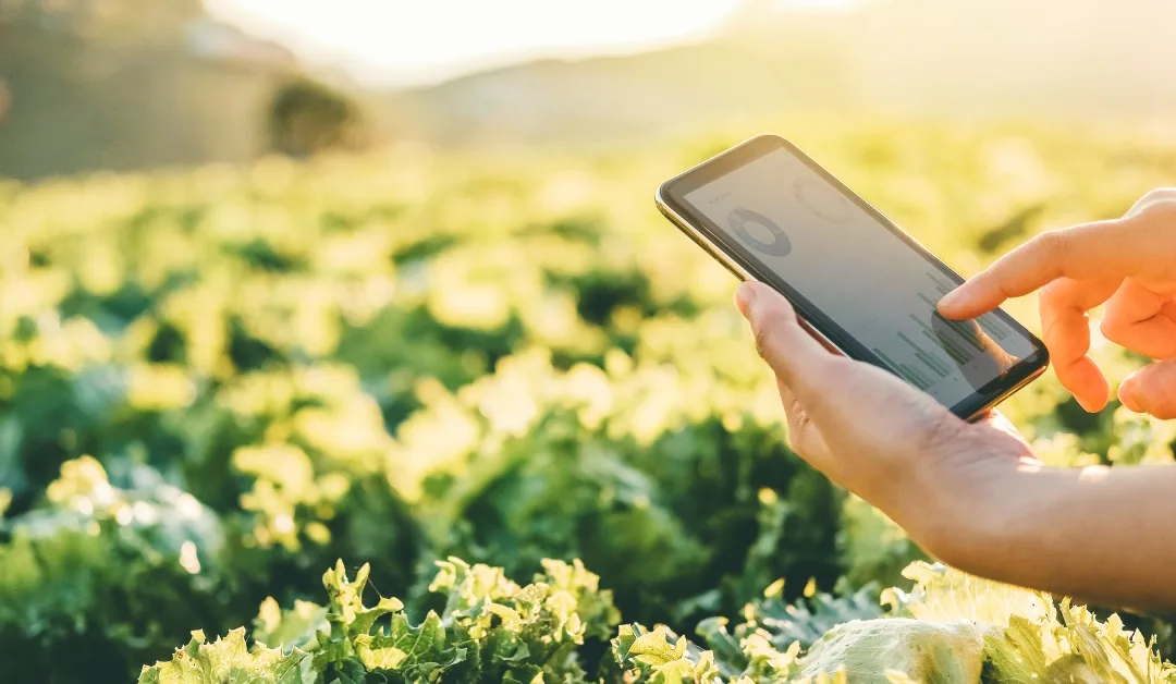 How Smart Irrigation Control Saves Farmers Money