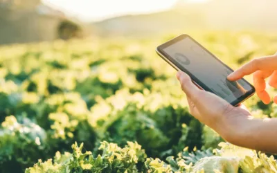 How Smart Irrigation Control Saves Farmers Money