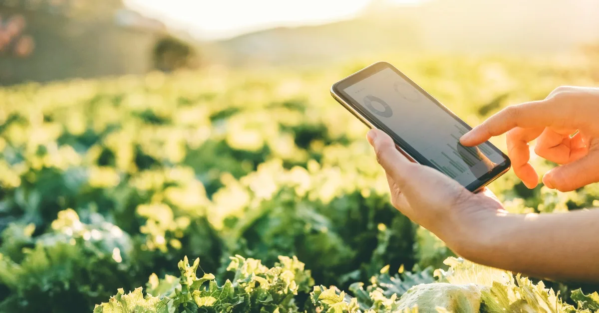 A farmer is using a tablet to monitor their farm's production. A large farm full of green leaves stretches into the distance.