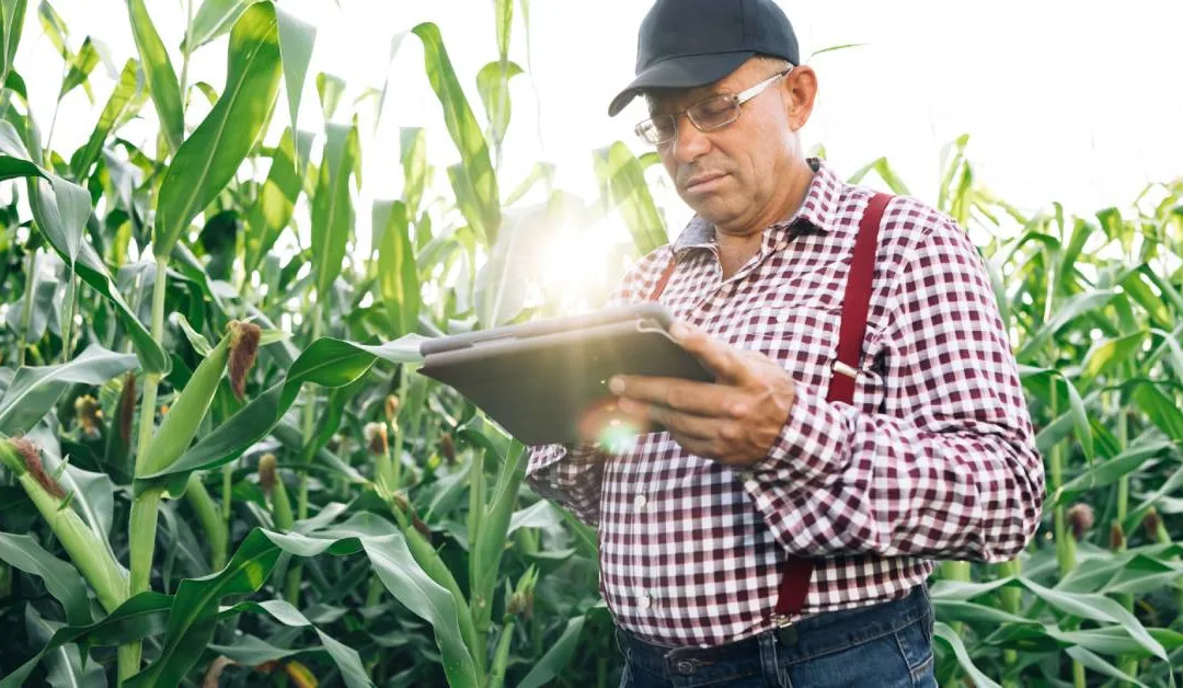 How Precision Irrigation Enhances Crop Quality