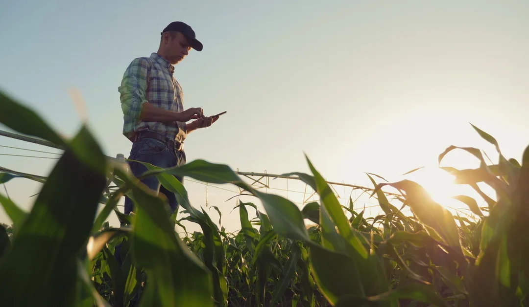 What Farmers Need To Know About Smart Irrigation