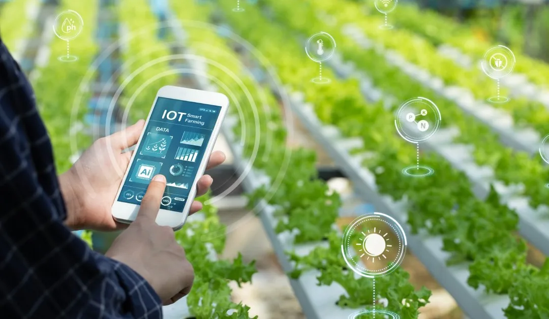 5 Tips for Creating a Smart Farm Management Strategy