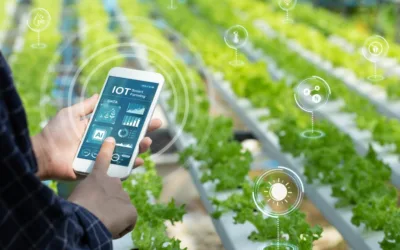 5 Tips for Creating a Smart Farm Management Strategy