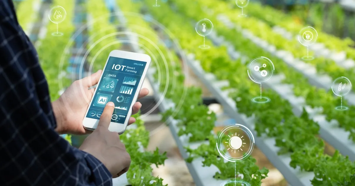 5 Tips for Creating a Smart Farm Management Strategy A close-up of a person holding a phone displaying IoT data. They are standing next to some plants with an overlay of data images.