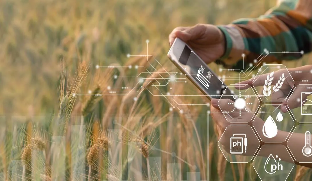 The Benefits of Using IoT for Irrigation Management