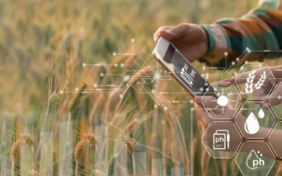 The Benefits of Using IoT for Irrigation Management