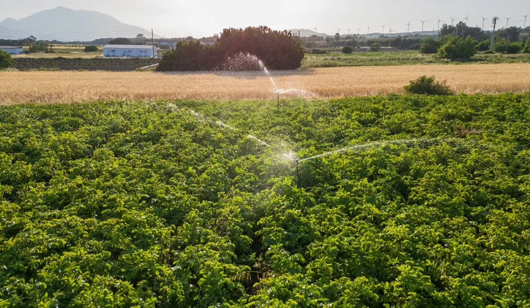 Sustainable Benefits of Introducing Smart Irrigation Systems