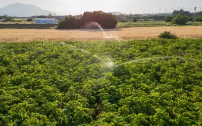 Sustainable Benefits of Introducing Smart Irrigation Systems