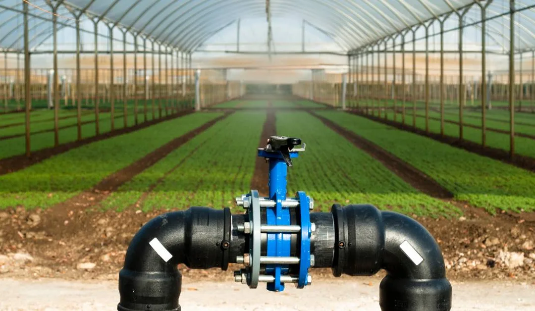 Why Pump Speed Control Is Important for Irrigation