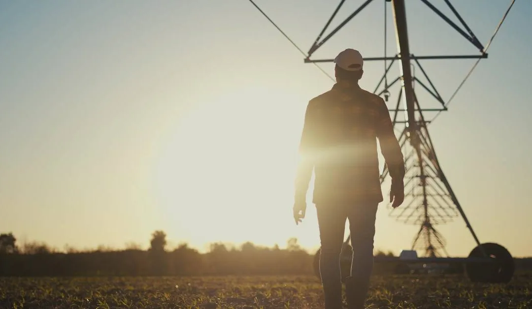 Factors To Consider When Selecting a Farm Irrigation System