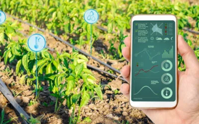 Essential Tools for Monitoring and Managing Irrigation