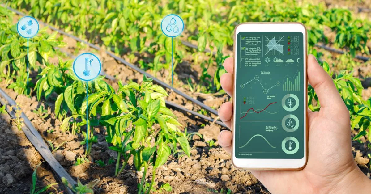 A hand holding a smartphone showing various agriculture data symbols and graphs in front of a field of plants.