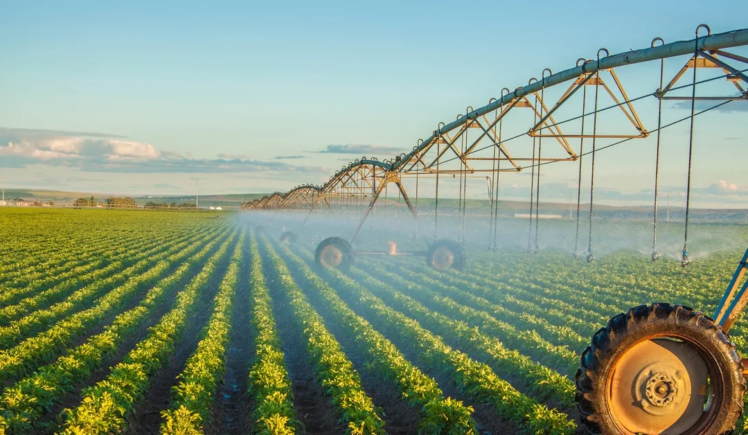4 Tips for Maximizing Water Efficiency on Your Farm