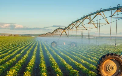 4 Tips for Maximizing Water Efficiency on Your Farm