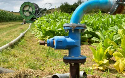 Tips for Reducing the Cost of Pumping Irrigation Water