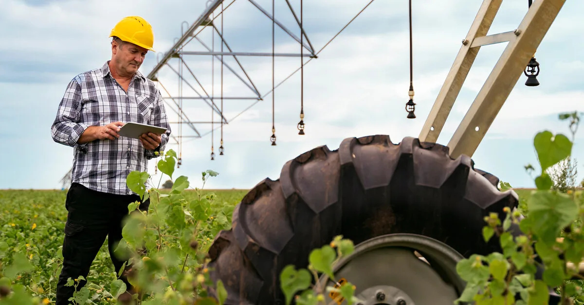 A man wearing a hard hat stands in the middle of a crop field next to a sprinkler system, looking down at a tablet.