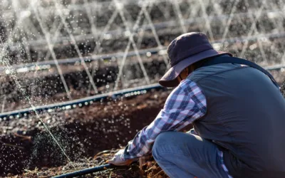 A Brief Guide to Avoiding Clogs in Your Irrigation System