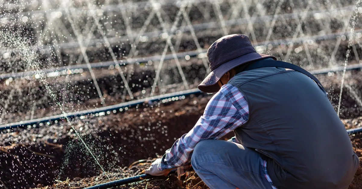 A Brief Guide to Avoiding Clogs in Your Irrigation System A man wearing a bucket hat kneels down to adjust a clogged irrigation hose in front of several functioning rows.