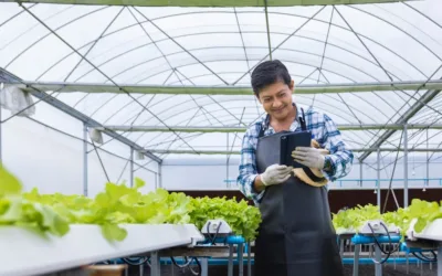 5 Reasons To Use an Irrigation Water Flow Meter