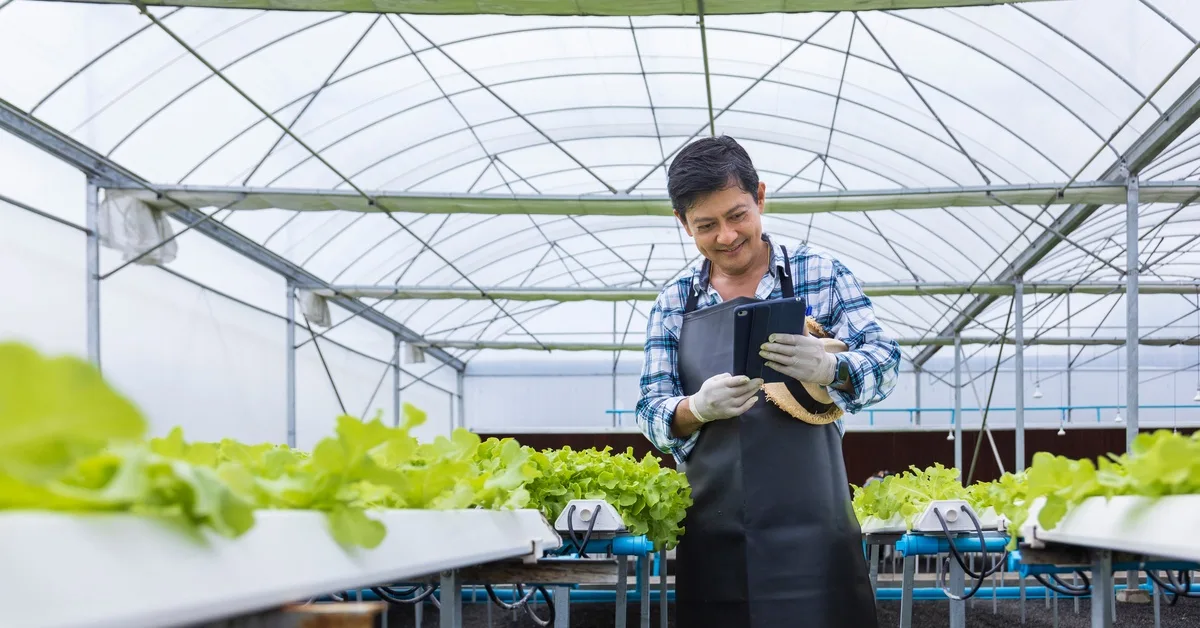 5 Reasons To Use an Irrigation Water Flow Meter A farmer wearing a black smock smiles as he looks at a tablet in his hand. He stands in a greenhouse full of plants.