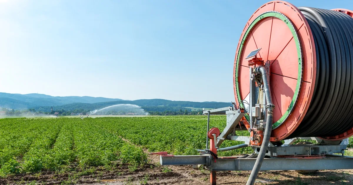 A red hose reel system with a long agricultural hose wrapped around it sits on the edge of an expansive farm field. A red hose reel system with a long agricultural hose wrapped around it sits on the edge of an expansive farm field.