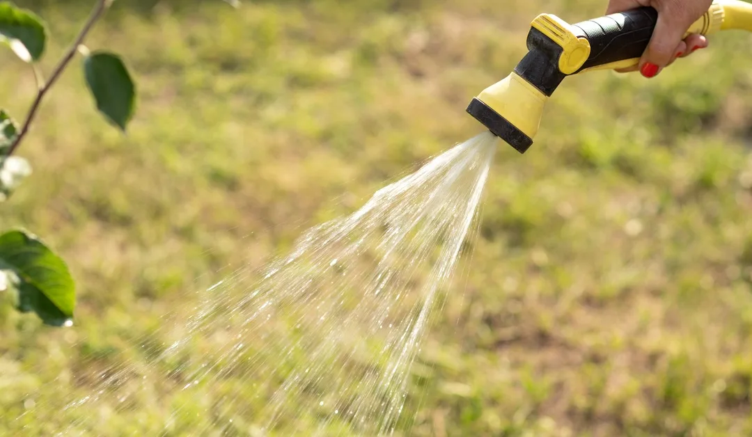 Differences Between Manual vs. Automated Irrigation Systems