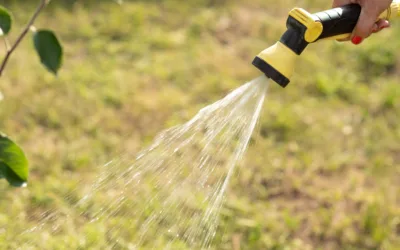 Differences Between Manual vs. Automated Irrigation Systems