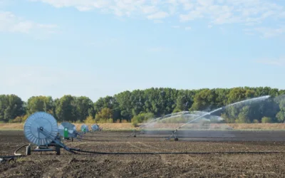 How To Extend the Lifespan of Your Irrigation Hose Reels