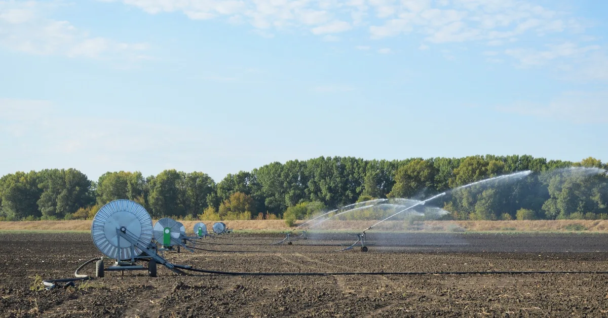 A wide shot of a farm field with several hose reels set up in a row in a line. There are full, green trees in the distance.