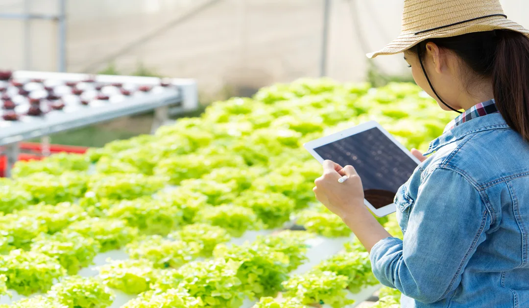 How Remote Irrigation Monitoring Reduces Maintenance Costs