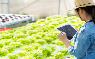 How Remote Irrigation Monitoring Reduces Maintenance Costs