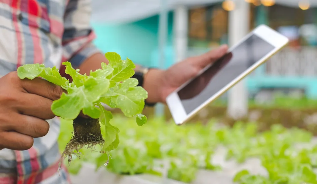 How Smart Flow Monitoring Enhances Irrigation Efficiency