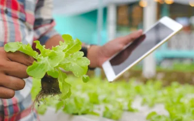 How Smart Flow Monitoring Enhances Irrigation Efficiency