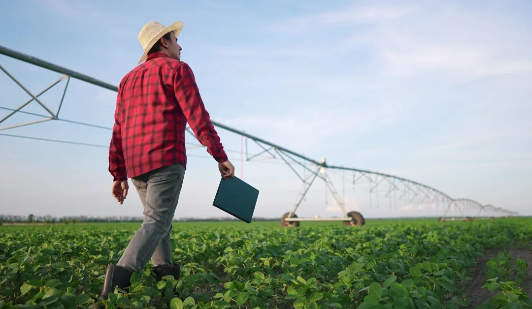 The Purpose and Advantages of Irrigation Scheduling