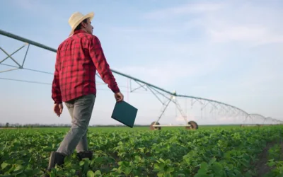 The Purpose and Advantages of Irrigation Scheduling