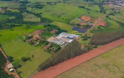 Ways Small and Big Farms Use Irrigation System Technology