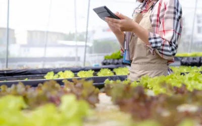 Common Reasons Farmers Overpay for Water