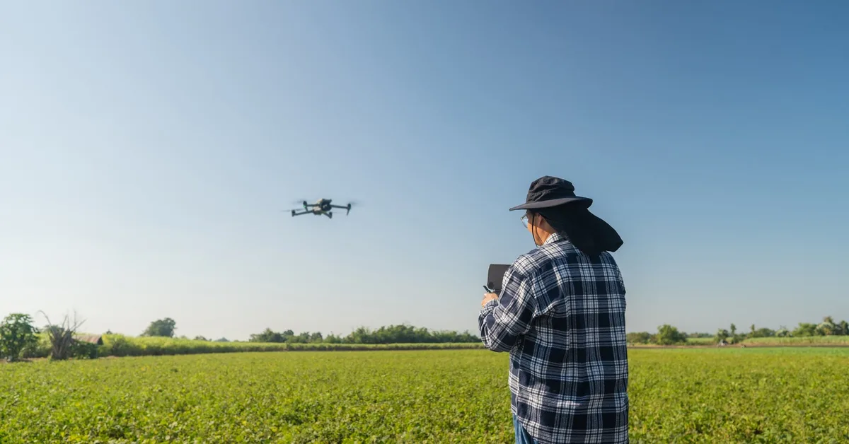 A man wearing a hat using a tablet while a drone flies above rows of green crops in a sunny field nearby. A man wearing a hat using a tablet while a drone flies above rows of green crops in a sunny field nearby.