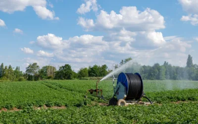 Common Hose Reel Irrigation Problems and How To Fix Them